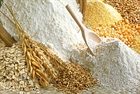 Farina di grano tenero tipo 0 Bio